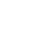Visitors icon