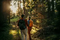 image-slider-with-thumbnail4.jpeg